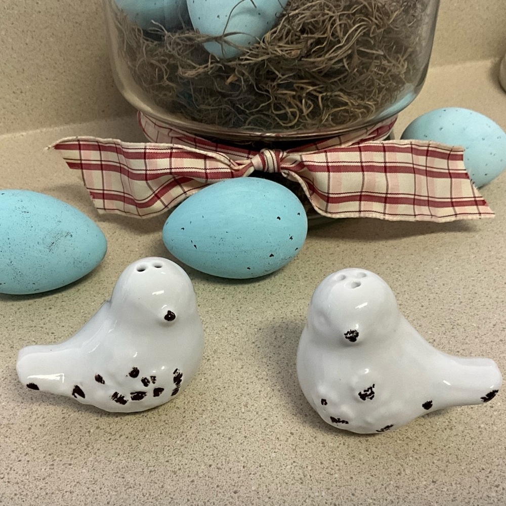 NWT Set Bird S&P Shakers Salt and Pepper Chippy Birds Rustic Ceramic Birds